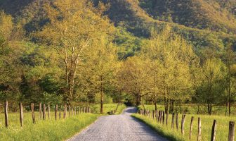 Poet’s Playground – June winners