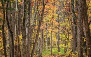 Poet’s Playground – September winners