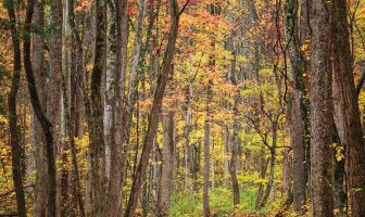 Poet’s Playground – September winners