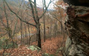 The Vanishing Remains of the First Road across the Plateau