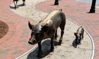 The French Broad Route Used to Be Known for Hog Droving