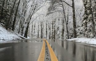 Shutterbug Showcase