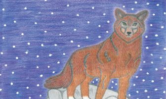 Artist’s Palette – December Winners