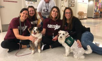 The Healing Power of Animals