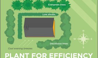 Energy Efficient Landscaping Tips