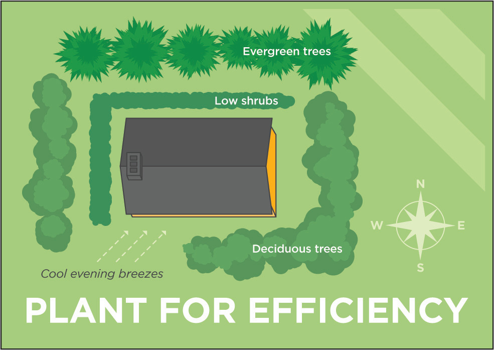 II. Understanding Energy-Efficient Landscaping