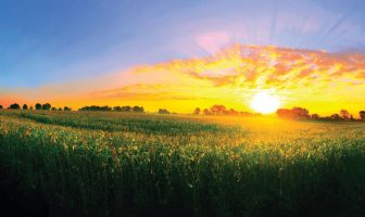 Shutterbug Showcase – Smartphone Photography