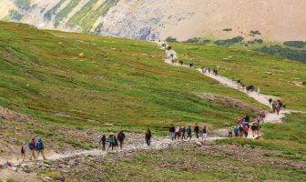 Poet’s Playground – May winners
