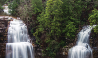 Falling for Nature