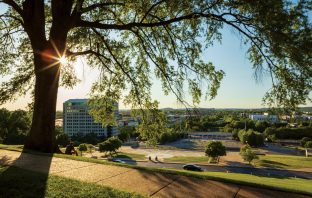 Celebrating Statehood