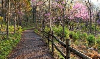 Shutterbug Showcase: Natural Areas