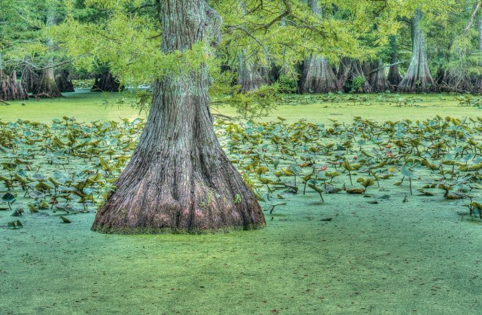 Shutterbug Showcase - TN Natural Areas | The Tennessee 