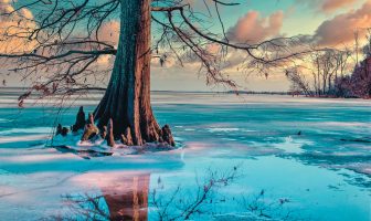 Shutterbug Showcase – TN Natural Areas