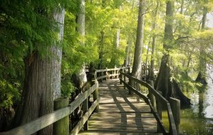 Poet’s Playground – June 2021