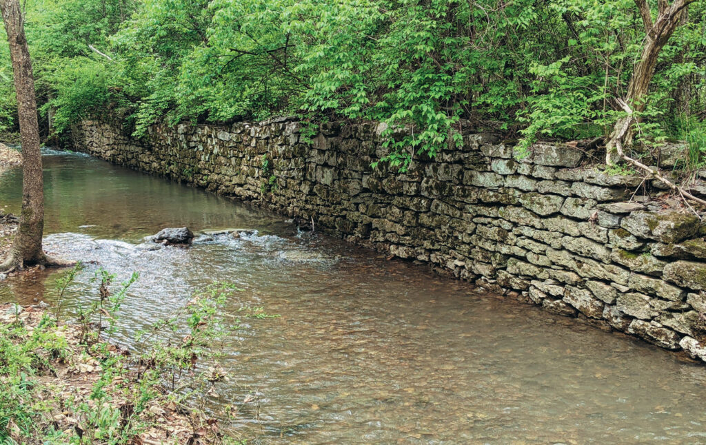 Digging Up History in Your Own BackyardBill Carey