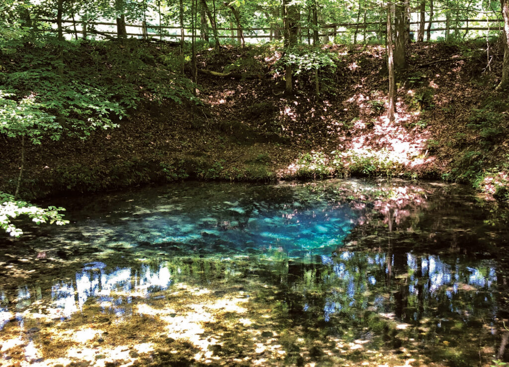 Red Clay State ParkTrish Milburn