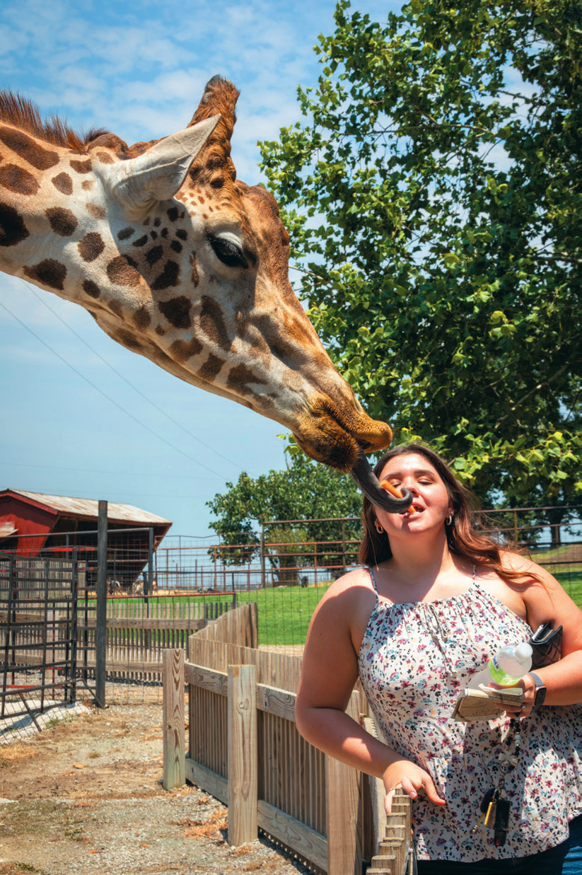 who owns tn safari park